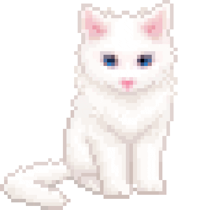 Kitty Companion